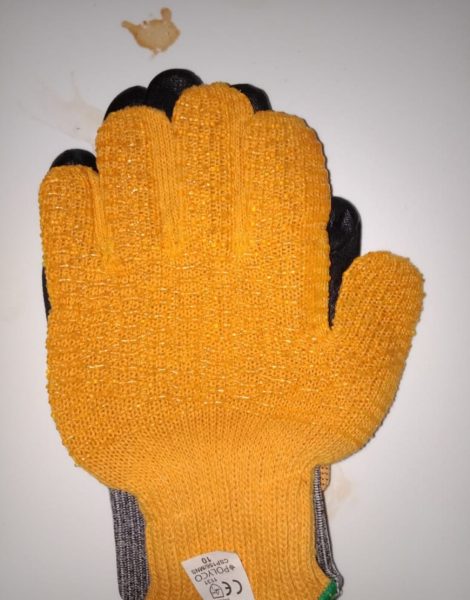 Gloves (1)