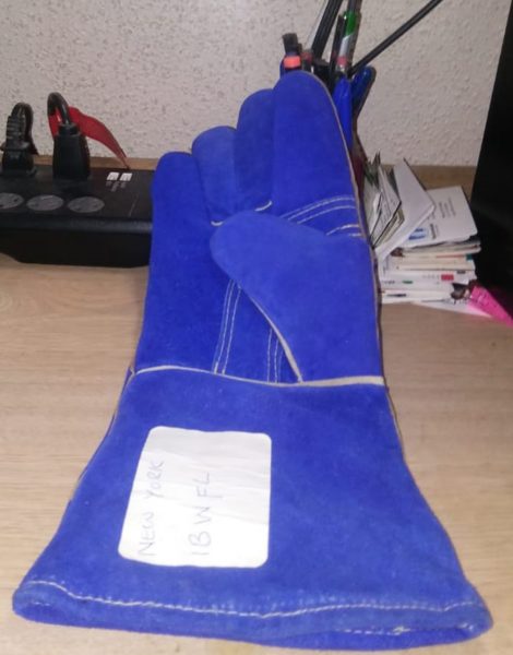 Gloves (3)