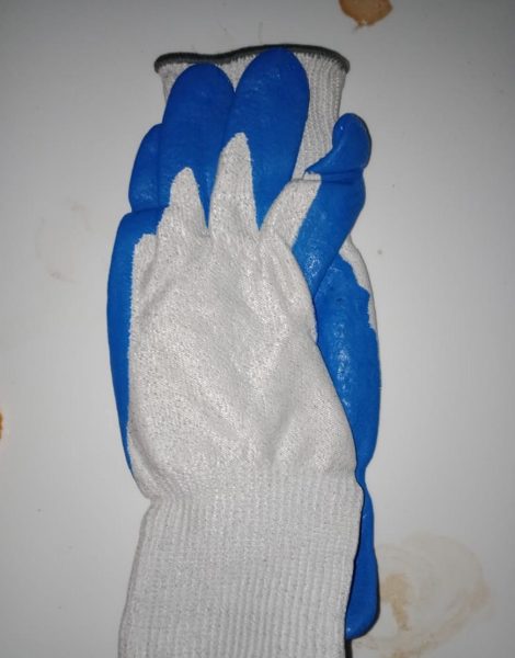 Gloves (6)