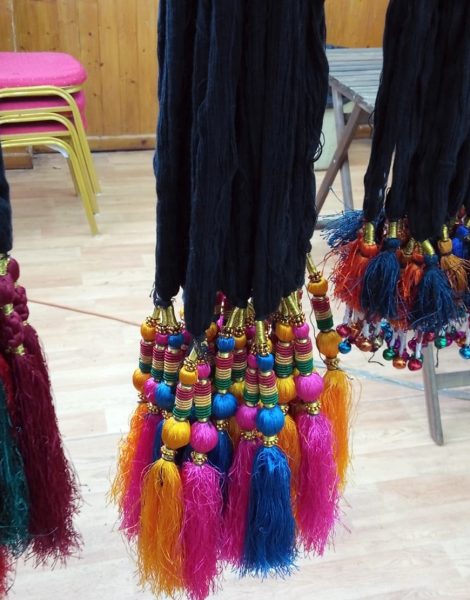 Ladies Hair Parandy (22)